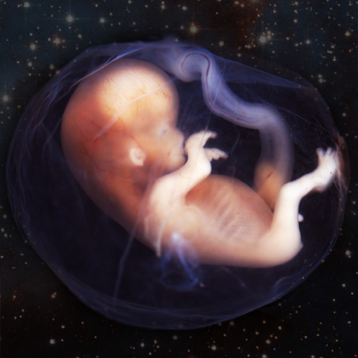 Abortion :: Love Energy Centers